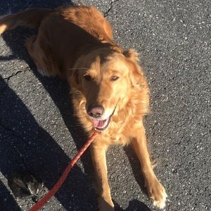 Meet your Posher, Emma